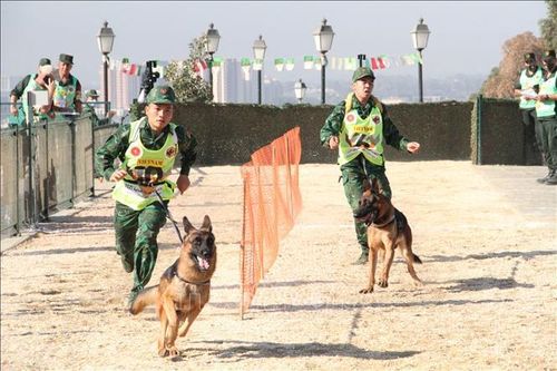 Giao lưu và trao đổi kinh nghiệm với Algeria về đào tạo và huấn luyện chó nghiệp vụ
