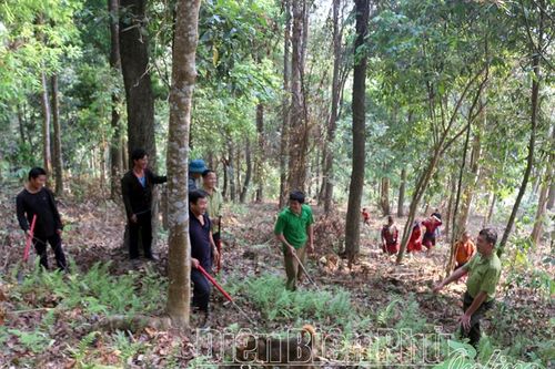 Tủa Chùa quyết tâm hoàn thành giao đất, giao rừng