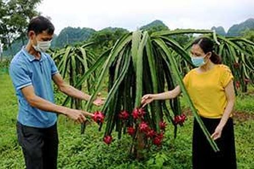 Hữu Lũng: Hỗ trợ nông dân ứng dụng khoa học kỹ thuật vào sản xuấtTin khácĐể Lễ khai giảng năm học mới: An toàn, trang trọng, ý nghĩaCuộc thi 'Đại sứ Văn hóa đọc' năm 2021: Lan tỏa phong trào đọc sách đến cộng đồng