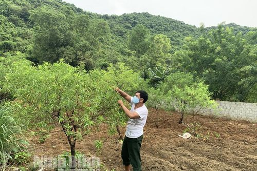 Khi đất cằn cho 'trái ngọt'