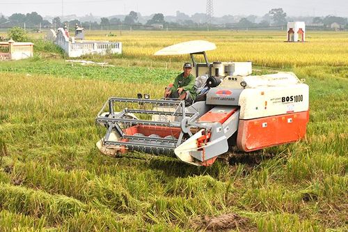 Diện mạo mới nông thôn Đất Tổ