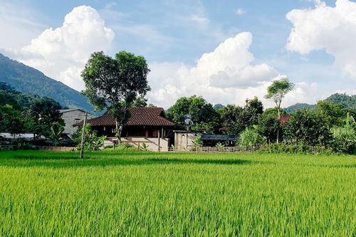 Chuyện về 'vựa lúa' Côn Lôn