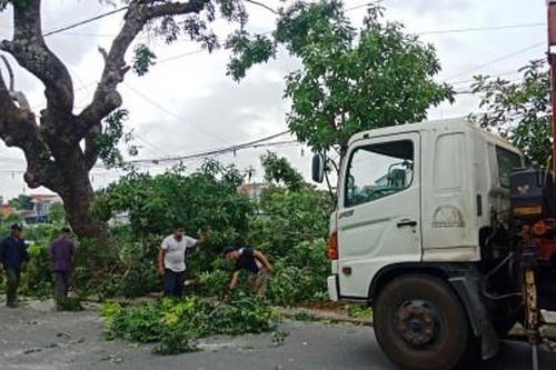 Kinh tế Xây dựng - Giao thông Bảo vệ cây xanh trước mùa mưa bão