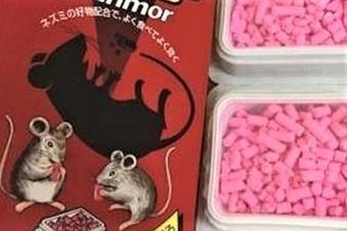 Ăn kẹo tẩm thuốc diệt chuột, chị tử vong, em nguy kịch