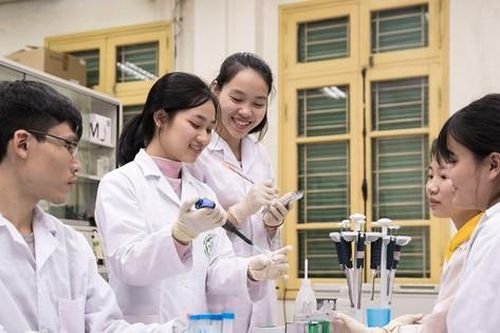 Hai đại học Việt Nam lọt top 500 trong bảng xếp hạng của THE