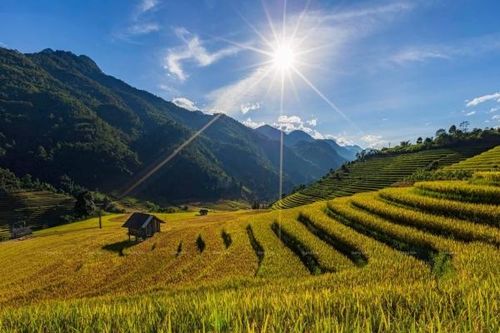 Sa Pa đẹp như nàng công chúa vào mùa lúa chín