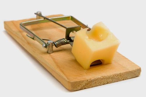 Ăn nhầm bánh tẩm thuốc chuột, chị 5 tuổi tử vong, em trai nguy kịch