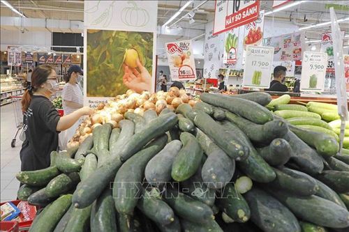 Sẵn sàng nguồn hàng cho thời kỳ bình thường mới
