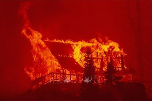 Tổng thống Mỹ ban bố tình trạng khẩn cấp do cháy rừng tại California