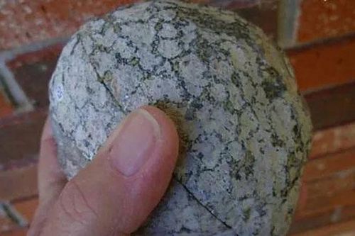 Tìm được khối đá quý trên núi, cô gái mừng rỡ khi nghe nói đến giá trị nhưng câu kết của chuyên gia khiến cô hụt hẫng