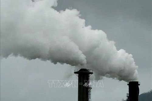 Greenpeace cáo buộc các ngân hàng Thụy Sỹ kém quan tâm tới đầu tư bền vững