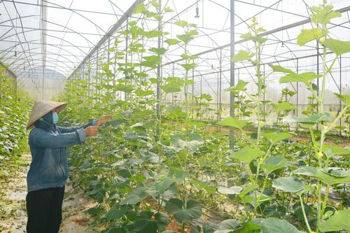 Diện mạo trên vùng quê cách mạng