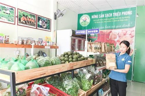Nét mới trong sản xuất nông nghiệp ở Triệu Phong