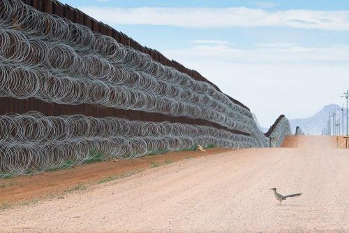 Phía sau bức ảnh gà lôi đuôi dài bên bức tường biên giới Mỹ - Mexico