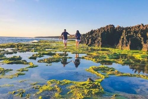 Khám phá 3 điểm san hô cổ nổi tiếng tại Ninh Thuận