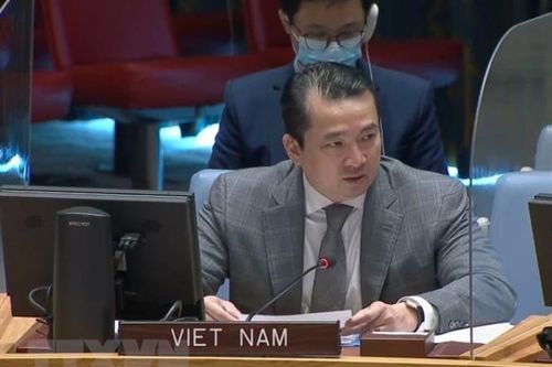 Hội đồng Bảo an: Việt Nam lên án hành vi sử dụng vũ khí hóa học