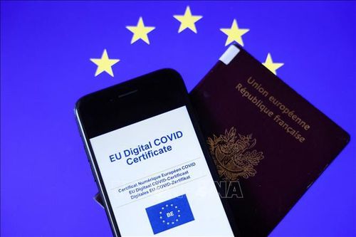 Chứng chỉ kỹ thuật số COVID của EU giúp khôi phục 70% vận tải hàng không