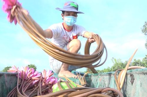 San sẻ yêu thương trong mùa dịch