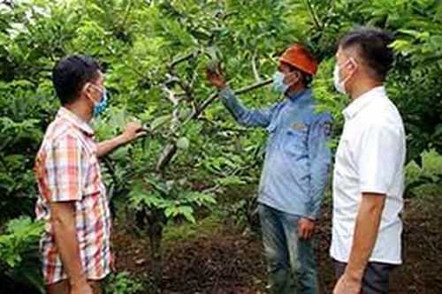 Chi Lăng: Đẩy mạnh chương trình OCOPTin khácNhớ về những ngày Cách mạng Tháng Tám ở Lạng SơnĐể Lễ khai giảng năm học mới: An toàn, trang trọng, ý nghĩa