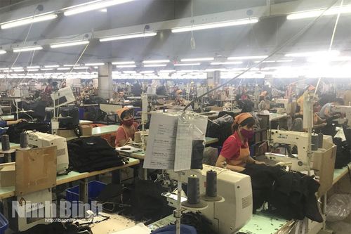 Kết nối việc làm cho lao động bị ảnh hưởng bởi dịch COVID-19