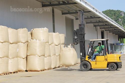 'Giấy thông hành' để sản phẩm nông sản xuất ngoại