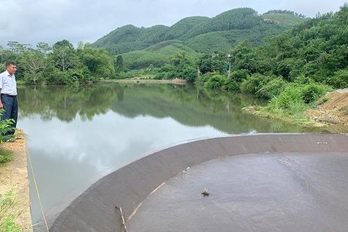 Bảo vệ cây trồng mùa mưa lũ