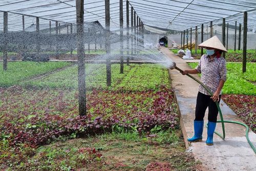 Vừa chủ động sản xuất, vừa phòng, chống dịch Covid-19