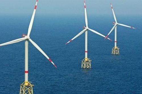Shell: Phát triển dự án trang trại điện gió nổi khổng lồ ngoài khơi Hàn Quốc