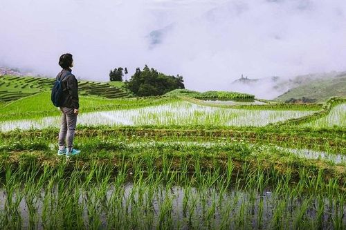 Bỏ phố về quê: Người trẻ hoang mang giữa những khác biệt