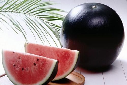 Loại dưa hấu đắt nhất thế giới, có quả lên đến hơn trăm triệu nhưng chuẩn 'tiền nào của nấy'