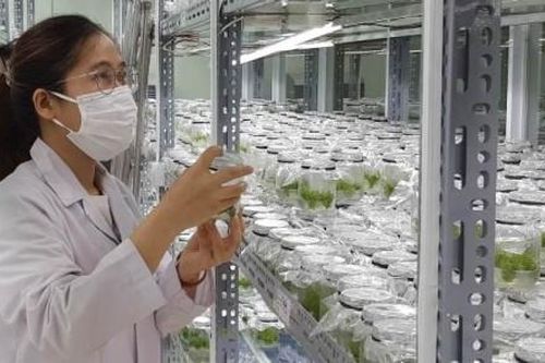 Kinh tế Khoa học - công nghệ Đưa khoa học, công nghệ về làng