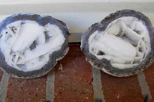 Sướng rơn nhặt được 'báu vật', ai ngờ chuyên gia nói câu... hụt hẫng