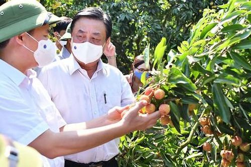 Bộ trưởng Nông nghiệp: 'Đến nay tôi mới biết ĐBSCL sản xuất lúa như thế'