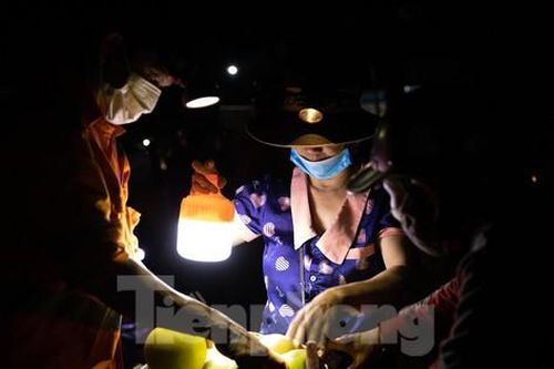 Đội đèn xuyên đêm bán bưởi Phúc Trạch đặc sản