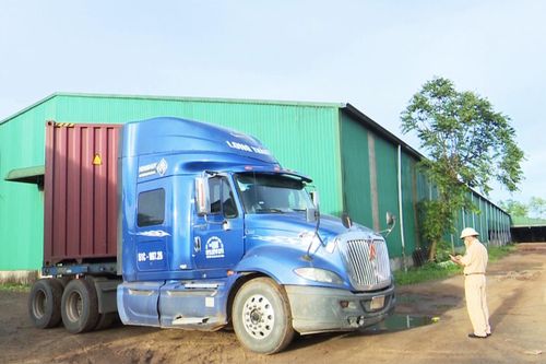 Pleiku: Phạt tài xế xe 'luồng xanh' đi sai lộ trình