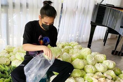 Đêm làm nhạc, ngày làm 'nông dân' hỗ trợ siêu thị 0 đồng và bếp ăn từ thiện