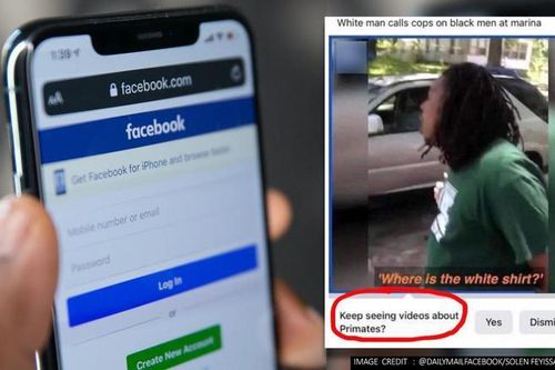 Facebook nhầm người da màu là loài linh trưởng