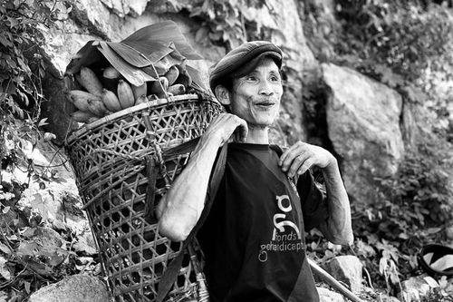 'Người rừng' Hồ Văn Lang qua đời