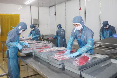 Huy động các nguồn lực chăm lo cho người dân Phú Yên, thực hiện mục tiêu kép