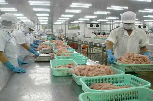 DN lĩnh vực nông nghiệp đề xuất giải pháp gỡ khó cho sản xuất và tiêu thụ nông sản