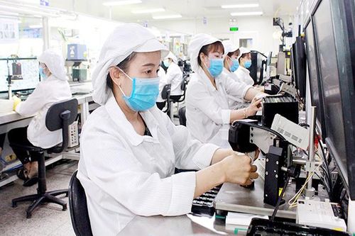 Khống chế, kiểm soát dịch để phát triển sản xuất
