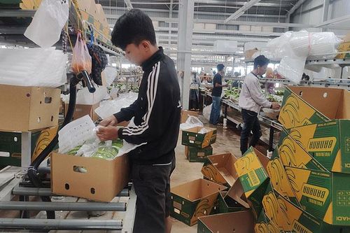 Campuchia tăng cường xuất khẩu nhiều mặt hàng