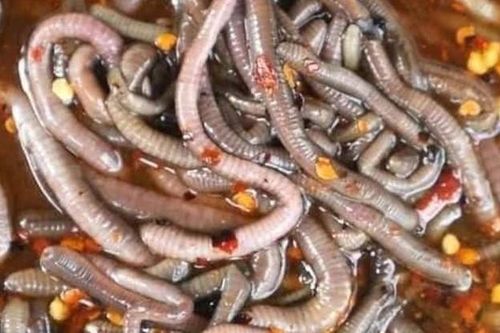 Ghê rợn món giun đất sốt chua cay ở Thái Lan, bác sĩ phải lắc đầu
