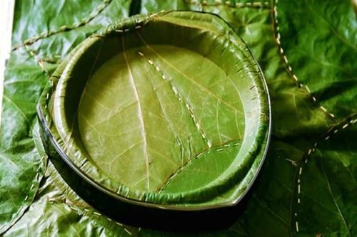 Tái chế lá chuối khô, lá bàng và vỏ hộp sữa thành bát đĩa…