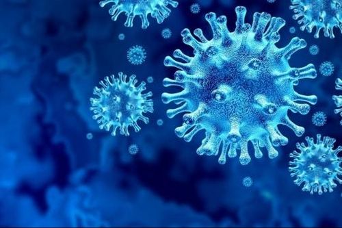 'Tổ tiên' của virus corona đã tồn tại cách đây 21 nghìn năm