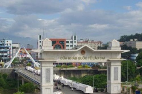 Lào Cai: 10 doanh nghiệp xuất nhập khẩu bị cưỡng chế nợ thuế hàng chục tỷ đồng