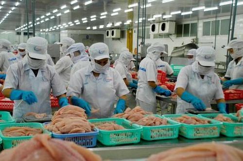 Chỉ 30-40% doanh nghiệp thủy sản đủ năng lực phục hồi sản xuất sau giãn cách