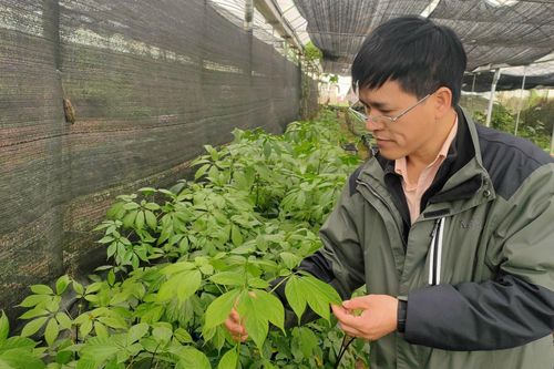 Bảo vệ nguồn gen quý