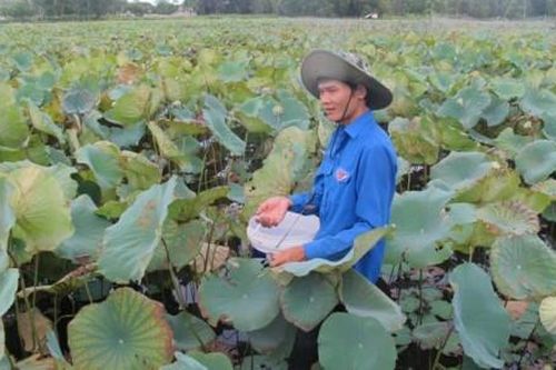Kinh tế Nông nghiệp - Nông thôn Đề xuất giải pháp phát triển kinh tế theo chuỗi giá trị các sản phẩm chủ lực