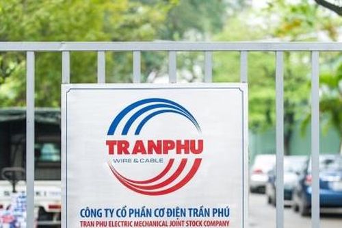 Đổ hàng trăm tỷ vào chứng khoán, Trần Phú Cable lãi hơn 30 tỷ đồng nhờ nắm giữ 2,47 triệu cổ phiếu REE